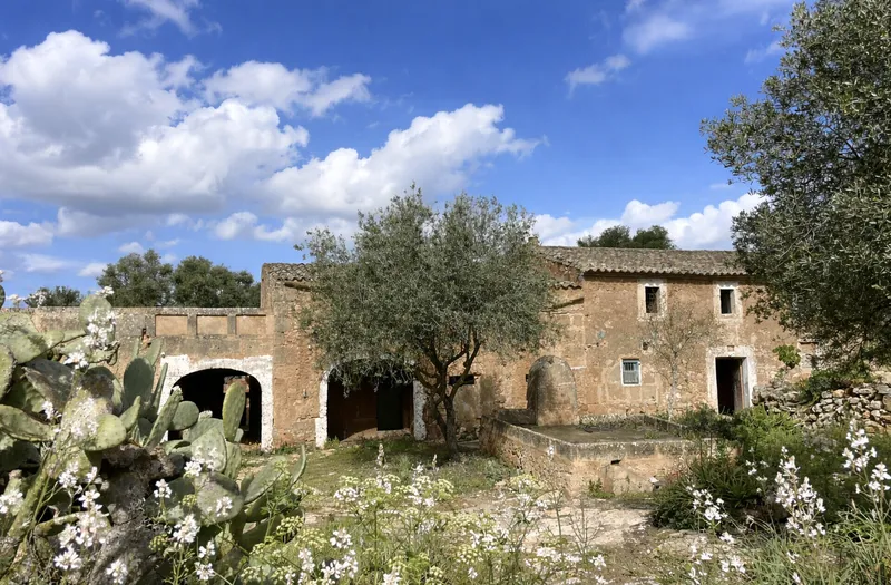 Rustic finca for full renovation with distant views of the Sierra de Tramuntana, Campos — photo 1