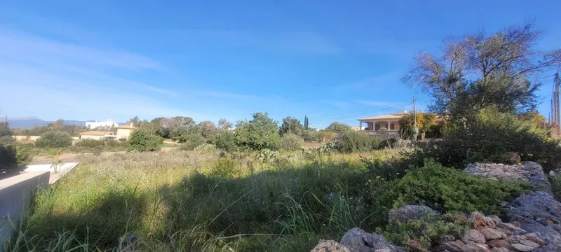 Land in Marratxí, Province of Balearic Islands — photo 12