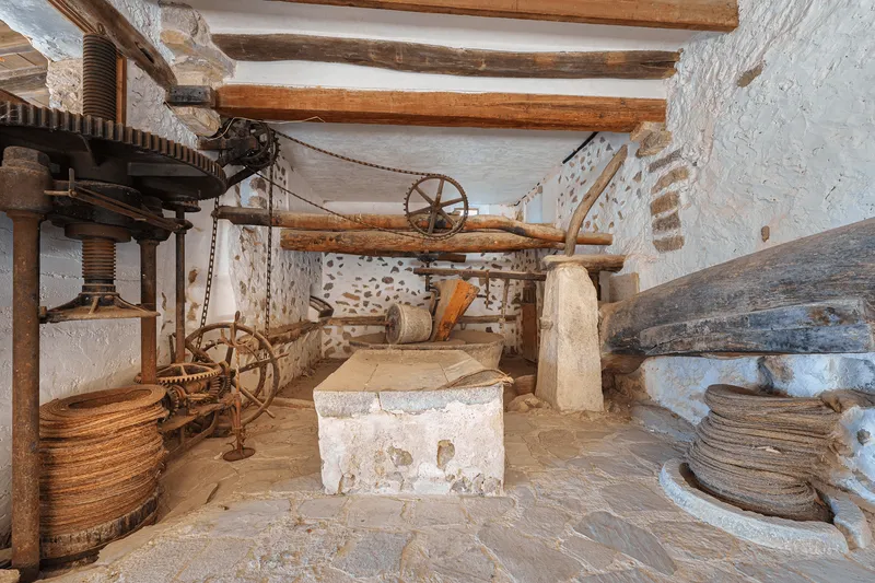 Mansion in Estellencs with olive oil production — photo 12