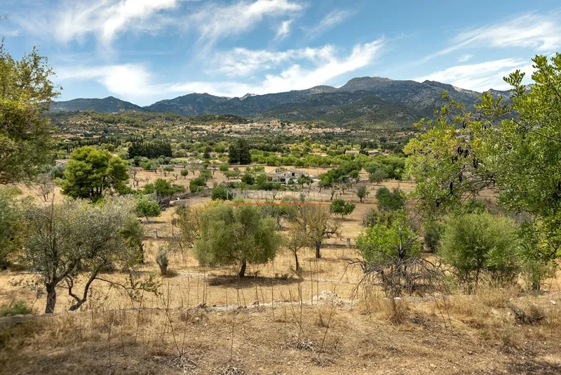 Rural Plot with Breathtaking Views — photo 3