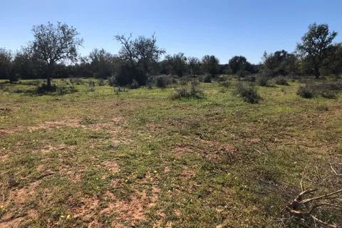 Land in Porreres, Mallorca — photo 9