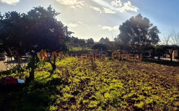 House for sale 4 km from Manacor – Legalizable due to age — photo 10