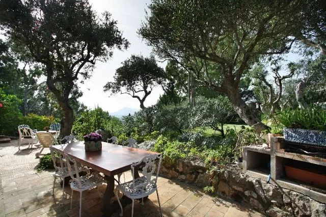 Artistic country estate for sale in Pollensa, Mallorca! — photo 6