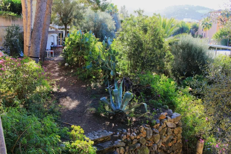 Exclusive plot ensemble with great potential in Port Andratx - main facade (15936) — photo 10