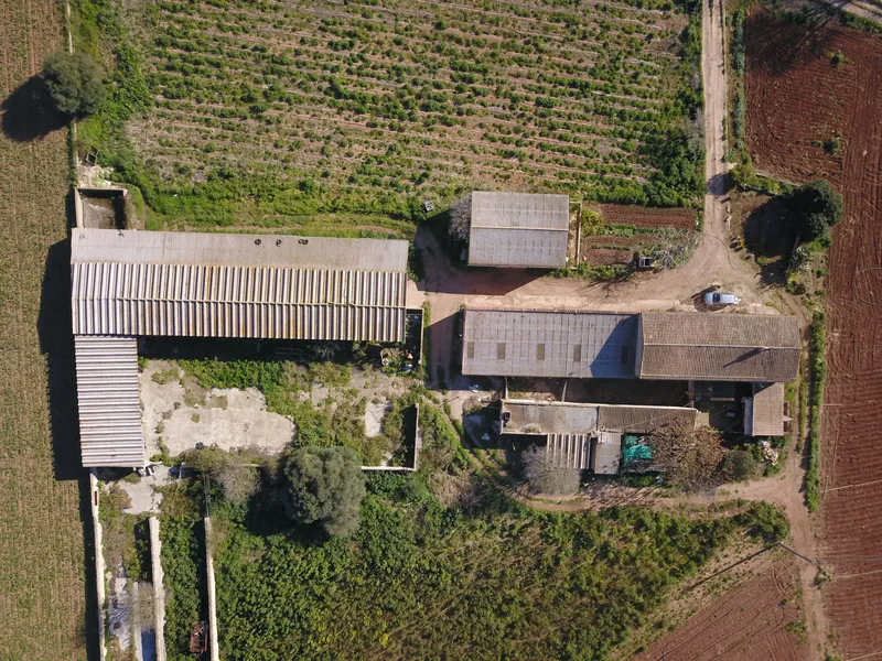 Finca for agricultural use with residential house in Manacor — photo 3