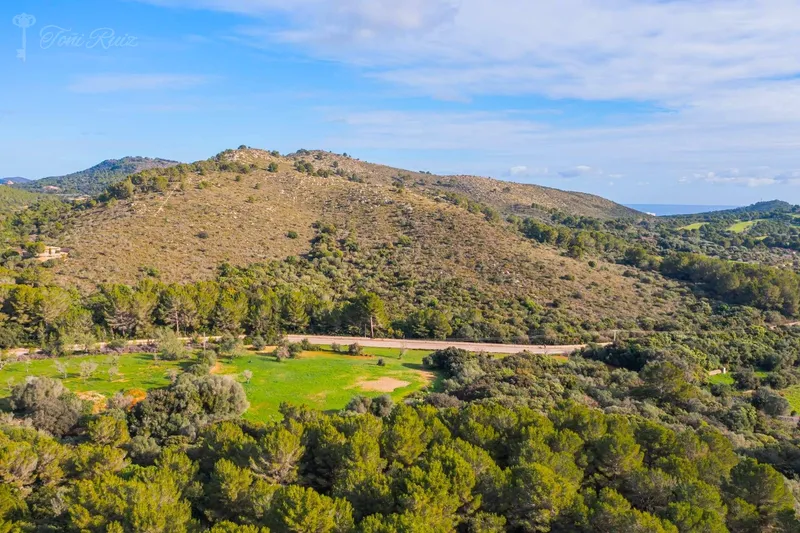 F4 - Finca for sale in Canyamel — photo 3