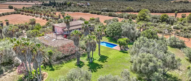 Finca in Santa Margalida with sea views and a large plot of land — photo 5