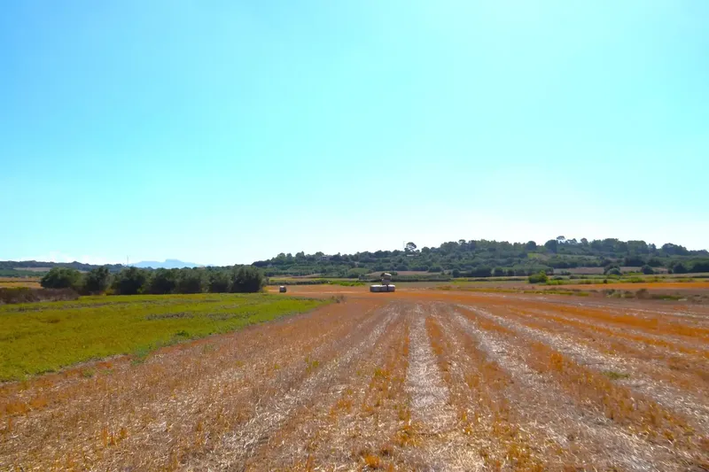 Set of plots totaling 19,622 m2, with the possibility of building a house in a privileged natural environment in Muro — photo 2