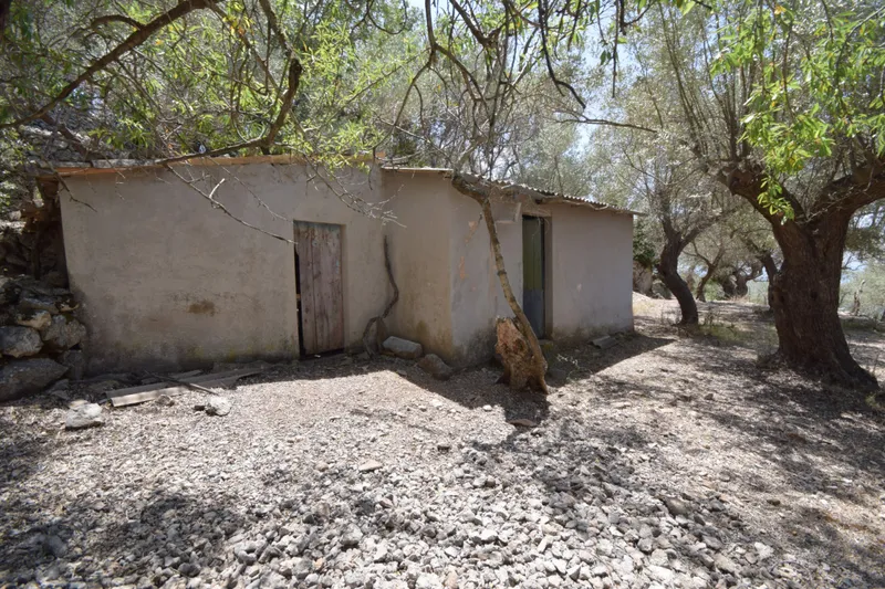 Olive groove with small cottage in the mountains of Sóller — photo 3