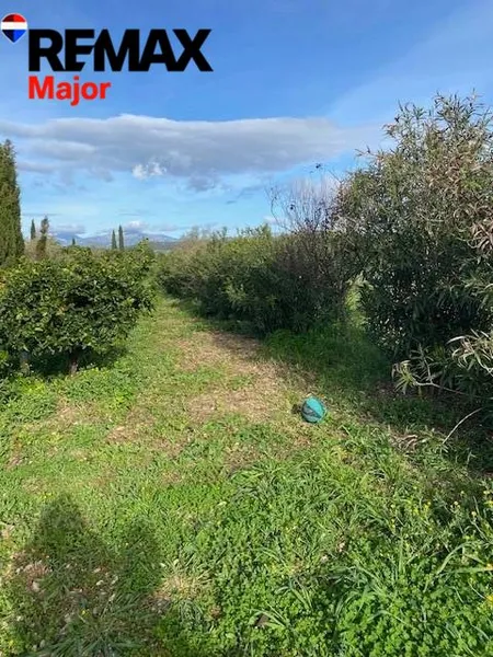 Mediterranean Sanctuary near Sineu – 3.5 Hectares of Pure Nature — photo 11