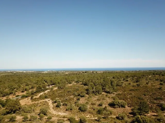 Magnificent rustic finca with mountain and sea views for sale near the Rafa Nadal Sports Academy — photo 10