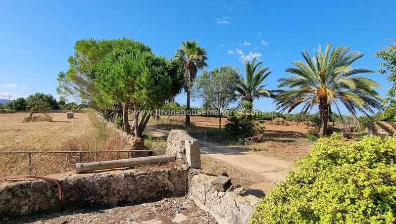 Large rustic finca to renovate in the Son Negre area, Felanitx. — photo 7