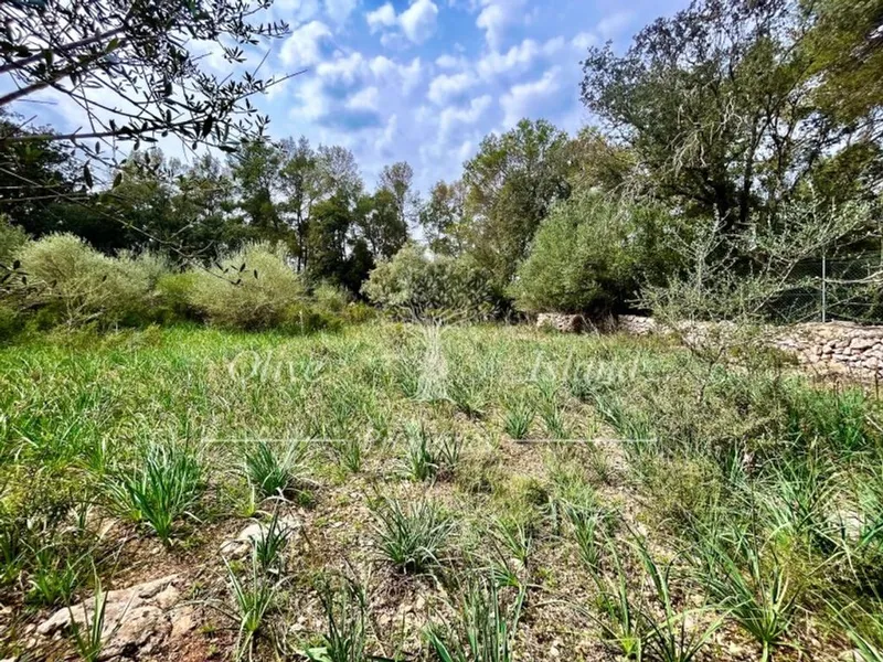 Land in Algaida, Province of Balearic Islands — photo 10