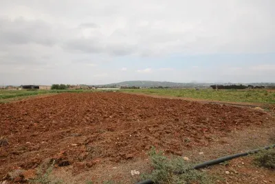 Land for sale in Manacor — photo 1