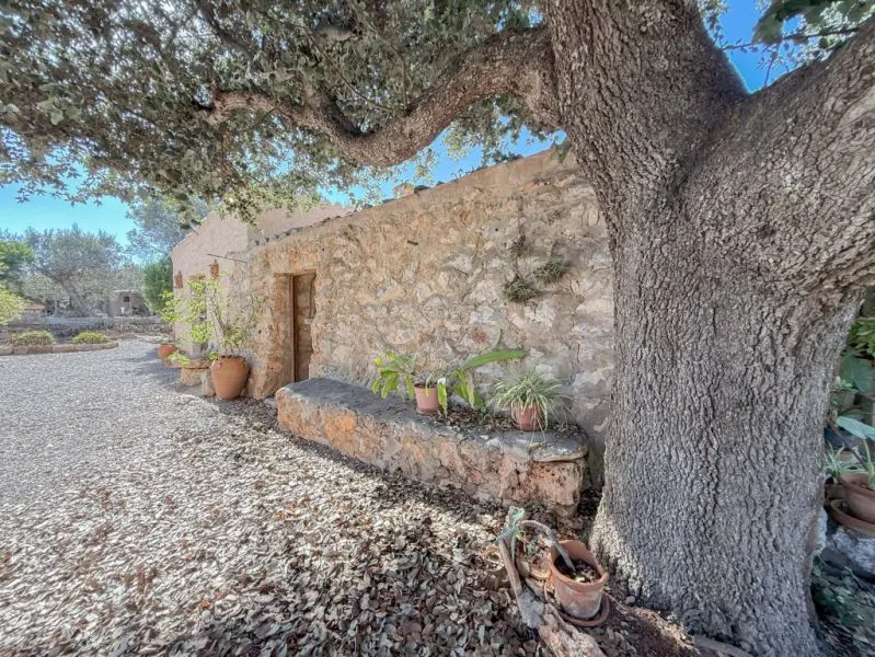 House or detached chalet for sale in Cala Llombards. Ref. Baes-1038 — photo 4