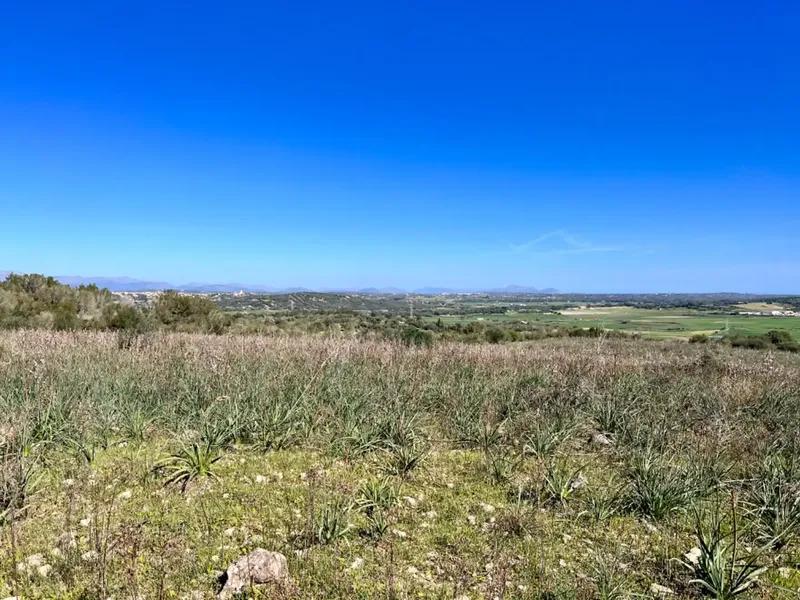 We are in Petra, in the middle of Pla de Mallorca, in a privileged setting with panoramic views, views of Ariany, Maria de la Salut — photo 1