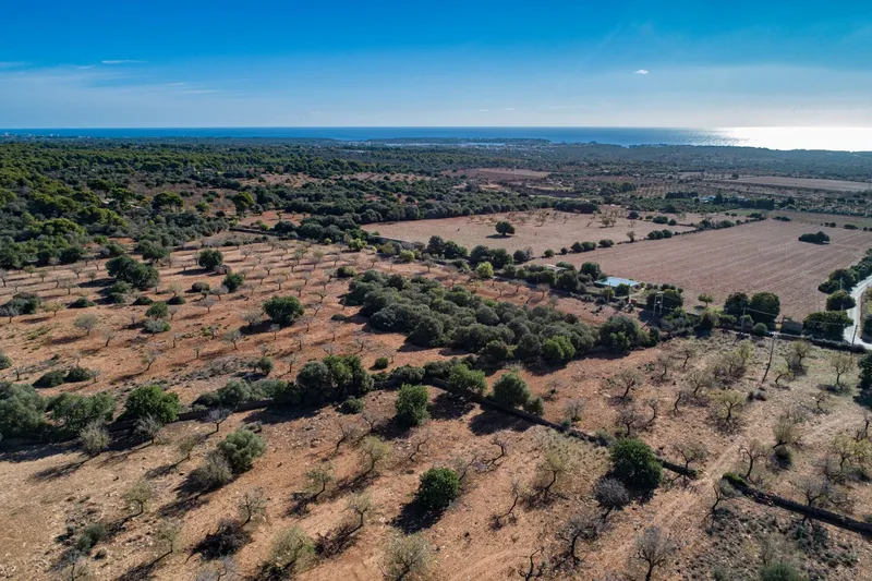 Buildable plot near S'Horta with approved finca project and sea views — photo 2