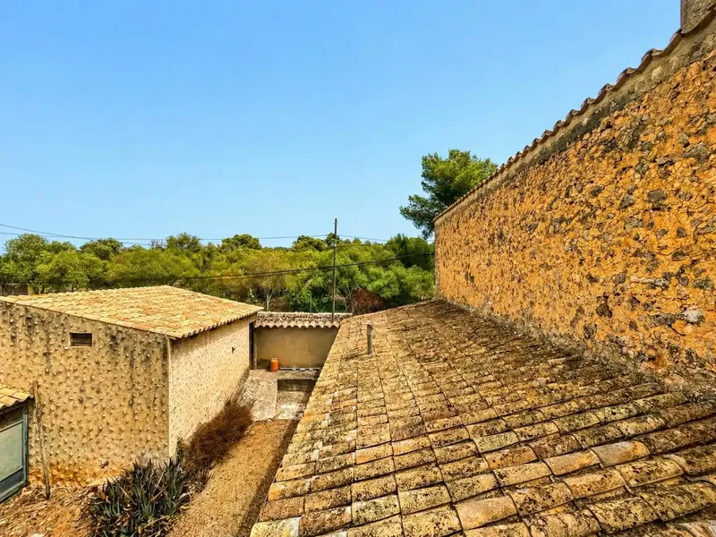 Majorcan finca with more than 6,000 m² in Pòrtol — photo 11