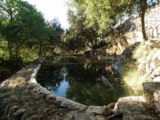 Finca/Country House for sale in Escorca, Mallorca — photo 8