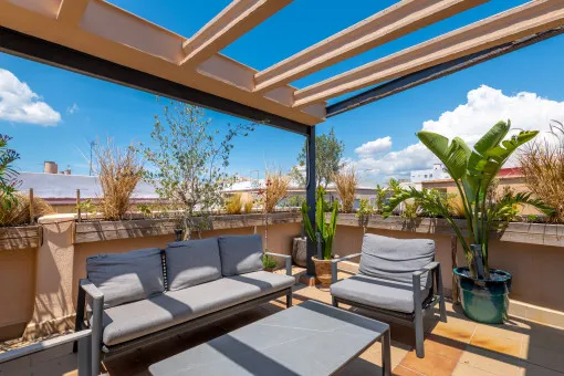 Palma City, spacious renovated apartment with a huge, sun-drenched terrace — photo 2