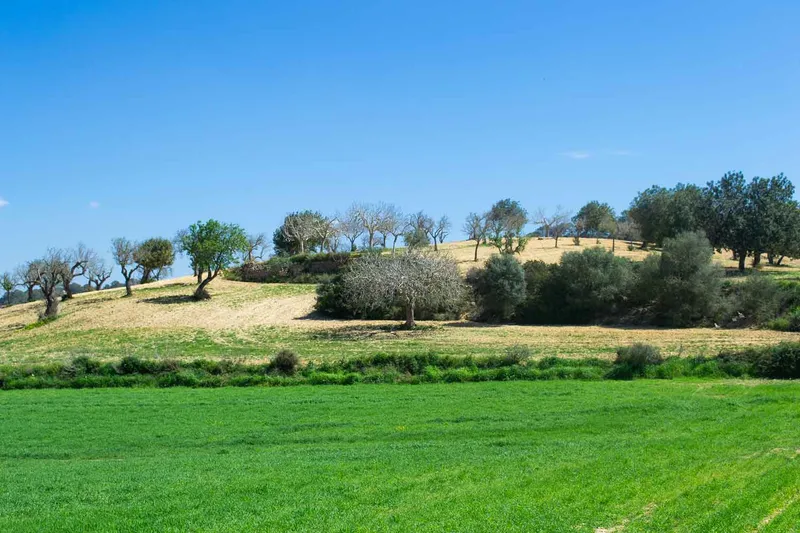 Sineu / Maria de la Salut – Building plot with 21,500 m2 in prime hillside location — photo 7