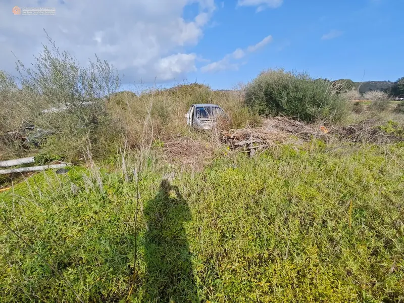 Unique opportunity in the Capdepera area: rustic estate with over 8,000 m2 of land in a natural, quiet and totally private setting — photo 7