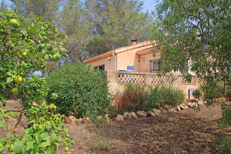 This charming rustic finca was built in 1970 on a natural plot of approx. 4,742 m² near Llucmajor and offers an opportunity — photo 8