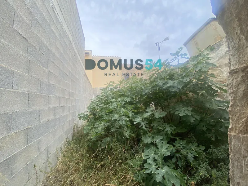 House to reform with project in Sa Pobla — photo 4