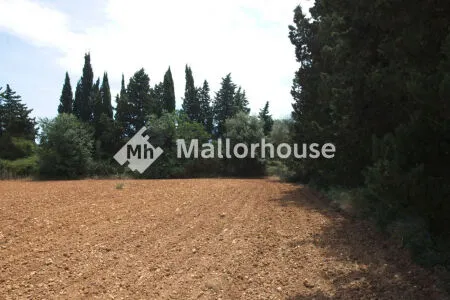 Rustic property - Muro (Centro), Built Surface 1 m², Plot Surface 8000 m² — photo 11