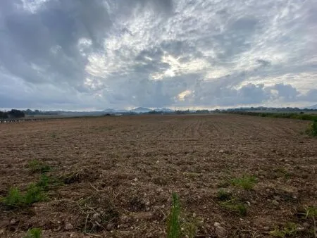 Rural Land - Manacor, Plot Surface 22000m² — photo 5