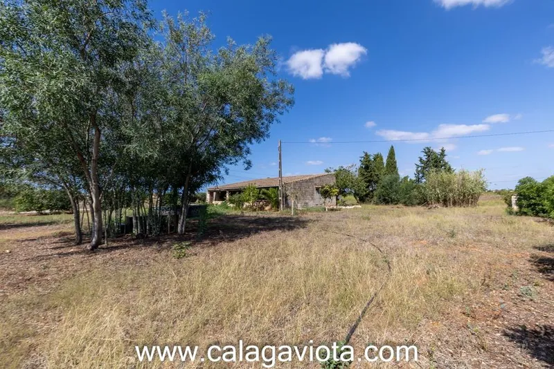 Rustic Plot — photo 8