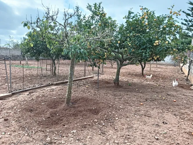 Large urban plot on the outskirts of Ses Salines — S 04 CM — photo 1