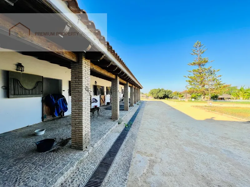 Farm 14 Bedrooms — photo 7