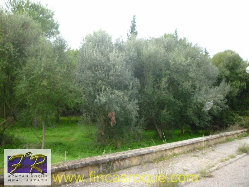 plot in Alcudia — photo 1