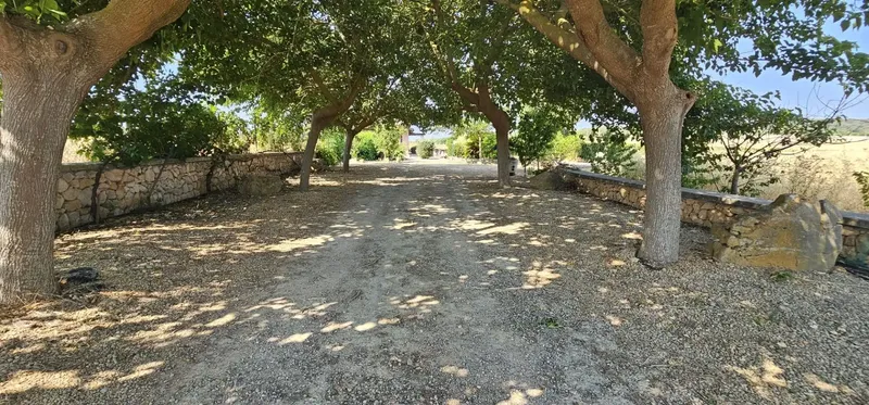 Encantadora casa de campo al estilo mallorquín — photo 7