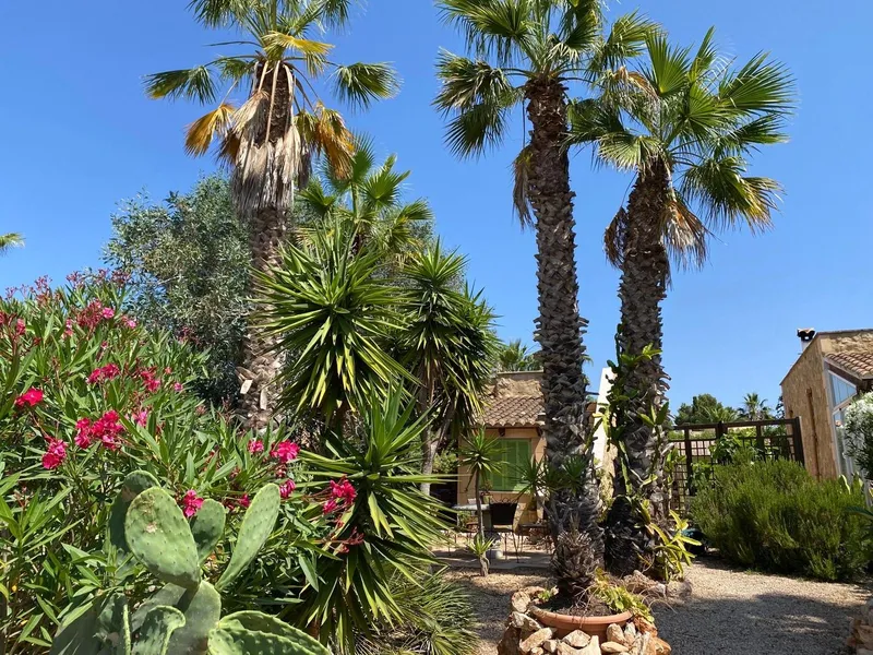 Cozy Townhouse with big garden in Sa Ràpita — photo 11