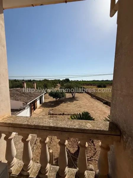 Finca Rústica con Vivienda en Biniali - Sencelles — photo 2