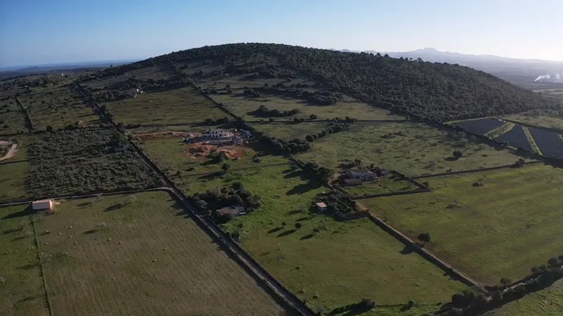 Mediterranean finca: Exclusivity and clear views in Manacor — photo 8