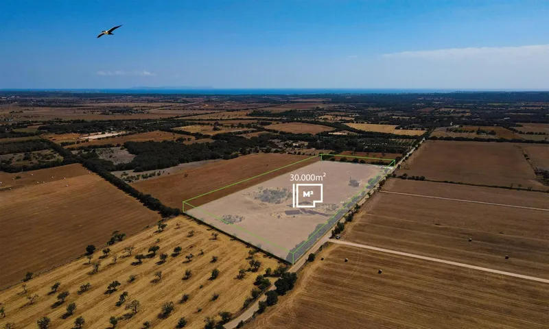 Rustic plot in Campos, Mallorca. Camí es Figueral. — photo 1