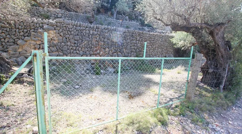 Reduced!!! Olive grove with stunning views of the Port of Sóller — photo 8