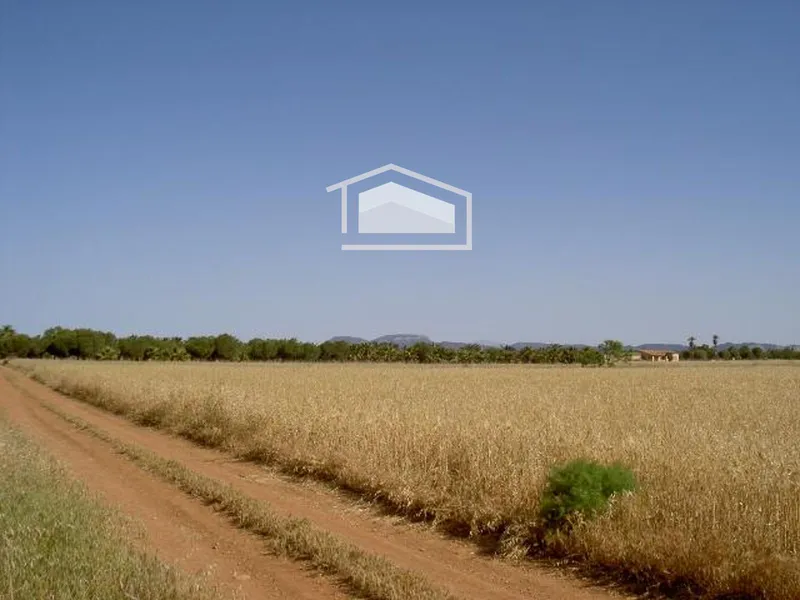 Rustic plot with urban planning certificate next to Es Trenc with hut to renovate — photo 5
