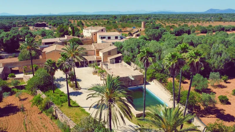 Large Country Estate to reform in Llucmajor — photo 4