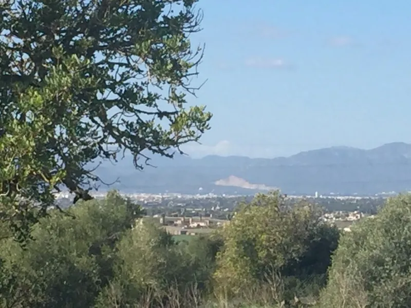 Country building plot of 77,648 m² in Son Gual area with building license, Palma — photo 2