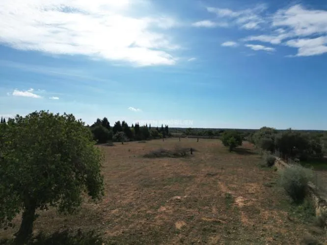 Building Plot for Sale in Llucmajor — photo 2