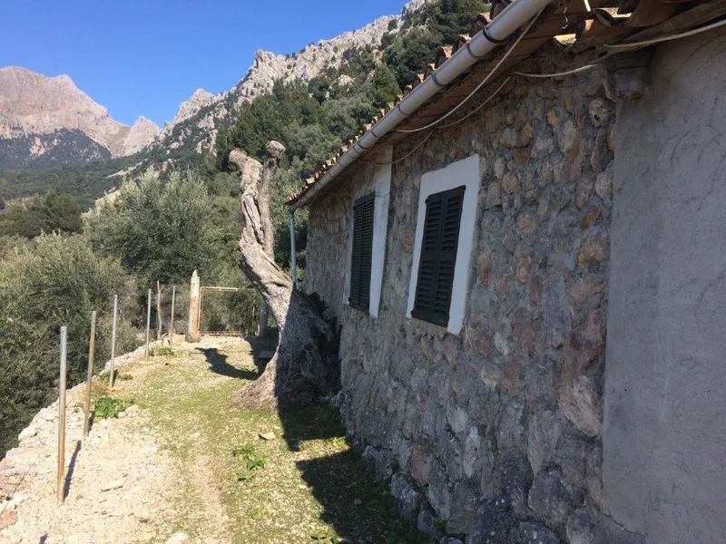 Beautiful olive grove with porch and car access in Fornalutx — photo 11
