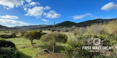 Country estate for renovation between the village and the port of Andratx — photo 3
