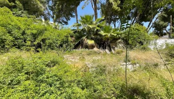 House / Chalet in Peguera — photo 1