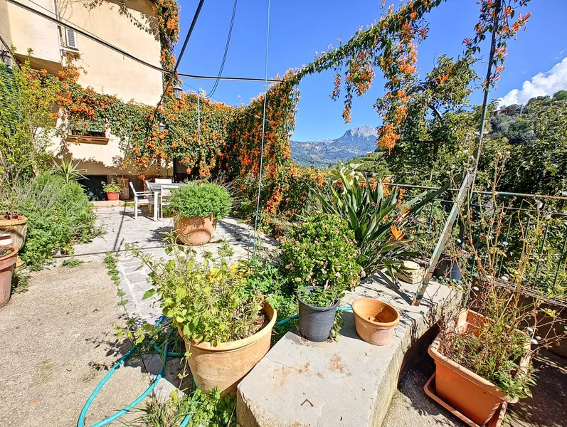 House for sale in Sóller with large 1,000 m² garden and mountain views — photo 3