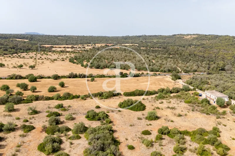 Exceptional Rustic Estate with Endless Possibilities for Sale in Sineu — photo 7