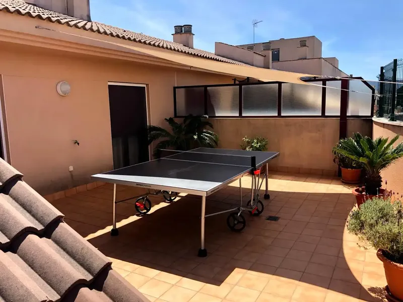 Exclusive penthouse with large private terrace in Carretera Sóller - Conservatory Area — photo 5